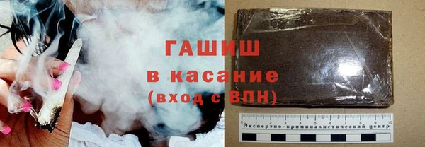 индика Осташков