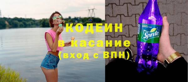 крисы Осинники