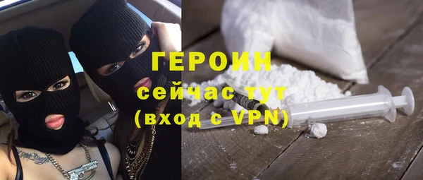индика Осташков
