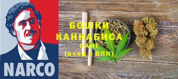 крисы Осинники
