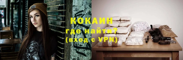 индика Осташков