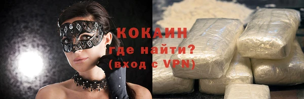 индика Осташков