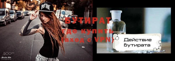 индика Осташков