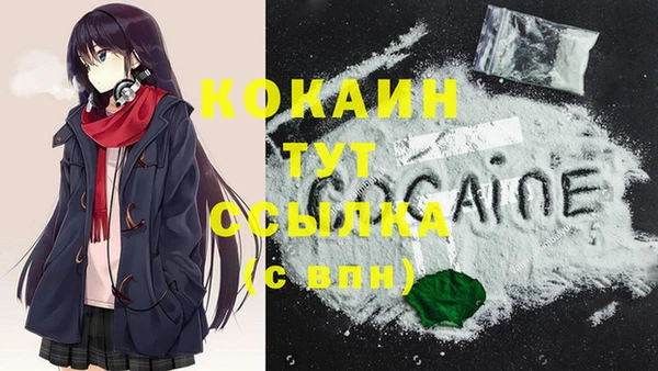 крисы Осинники