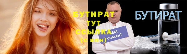 индика Осташков