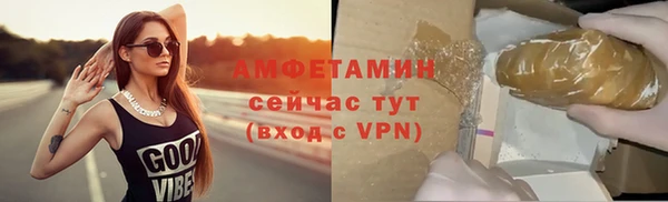 индика Осташков