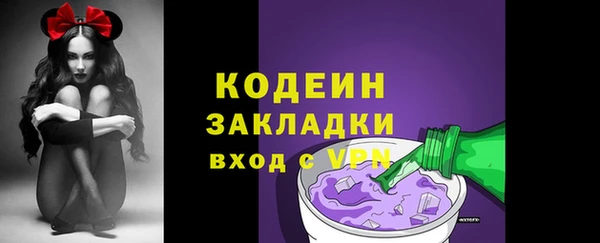 крисы Осинники