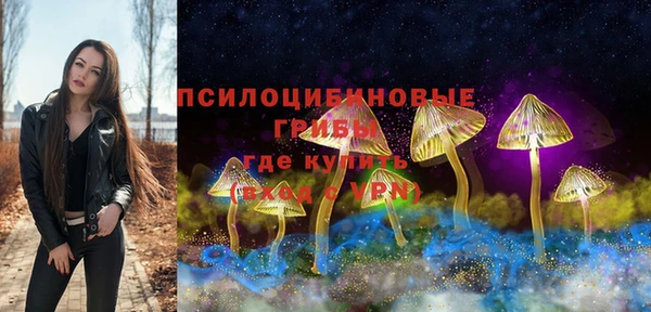 крисы Осинники