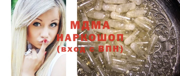 индика Осташков
