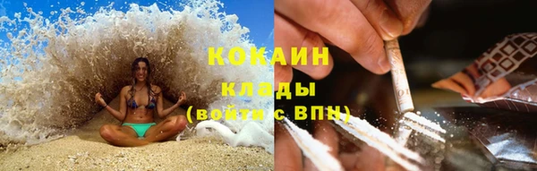 индика Осташков
