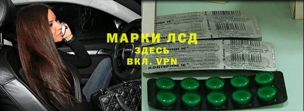 индика Осташков