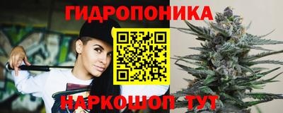 хмурый Малгобек