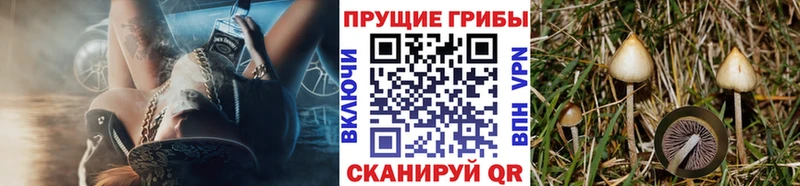 Псилоцибиновые грибы мухоморы  Самара 