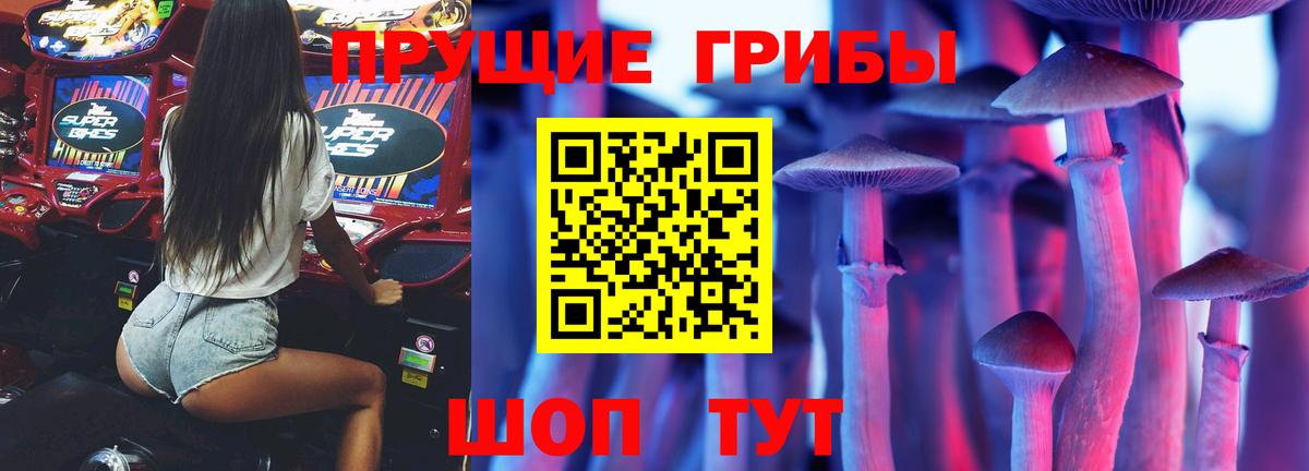 Псилоцибиновые грибы MAGIC MUSHROOMS  Псилоцибиновые грибы GOLDEN TEACHER  Вход с VPN  Самара 