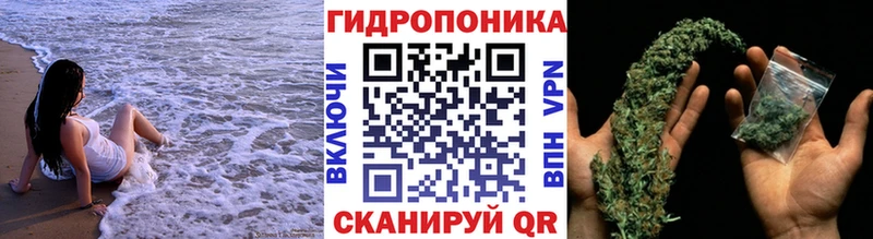 Бошки Шишки OG Kush дарк нет официальный сайт Самара