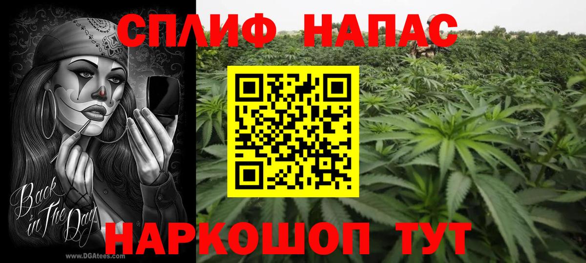 Шишки марихуана конопля Самара